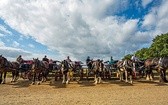 Dorożkarze – królowie luksusowego transportu na wyspie Sark.