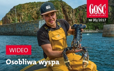 Zwiastun najnowszego „Gościa”