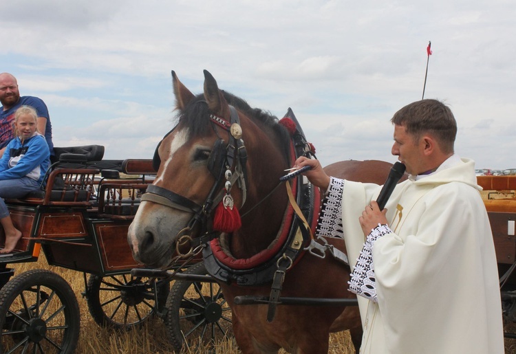 VIII Konna Pielgrzymka