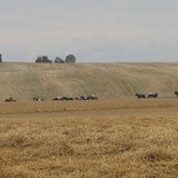 VIII Konna Pielgrzymka