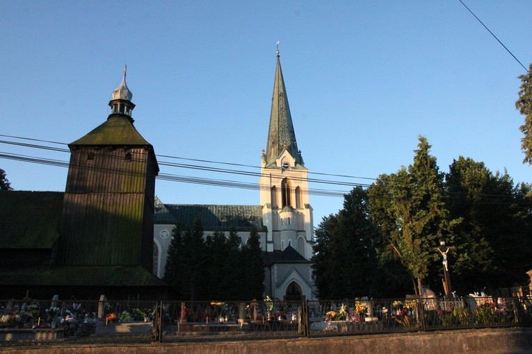 Do lasu za Dąbrową