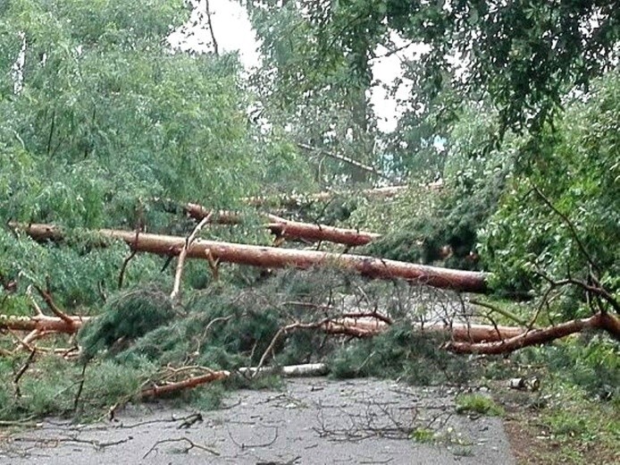 Na wielu drogach między Łodzią a Warszawą nadal zalegają powalone drzewa