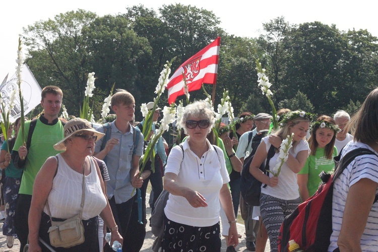 Wejście Pieszej Pielgrzymki Wrocławskiej na Jasną Górę cz. 5 