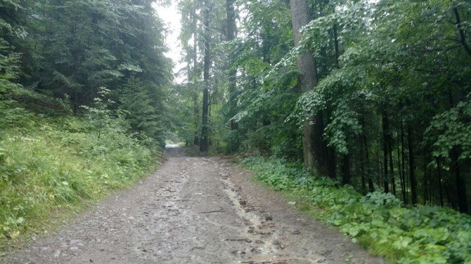 Deszczowy szlak ze Złatnej na Rysiankę - 5. Ewangelizacja w Beskidach