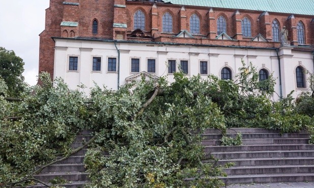 W Gnieźnie po nawałnicy: Zakaz wstępu do parków i lasów