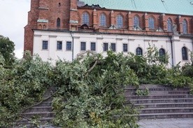 W Gnieźnie po nawałnicy: Zakaz wstępu do parków i lasów