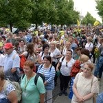 Pielgrzymka diecezji radomskiej - kolumny: opoczyńska, skarżyska i starachowicka