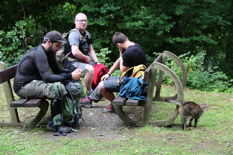 Pielgrzymkowy odpust w Zlatych Horach