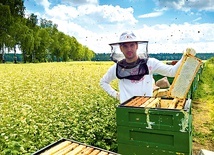 Miód to efekt nie tylko ciężkiej pracy pszczoły, ale też pszczelarza