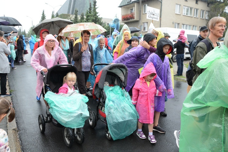 Start strumienia opolskiego