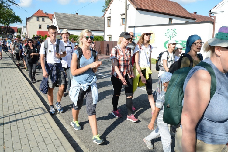 Strumień opolski w Kamieniu Śląskim