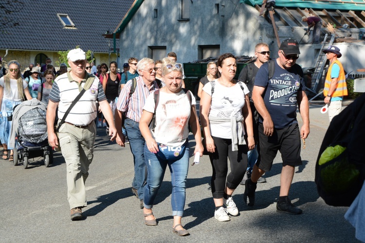 Strumień opolski w Kamieniu Śląskim