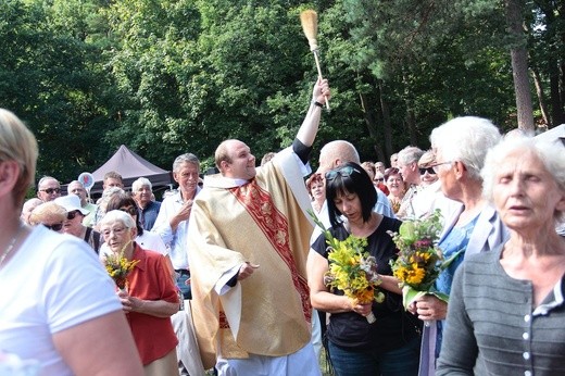 Diecezjalna Pielgrzymka Rodzin