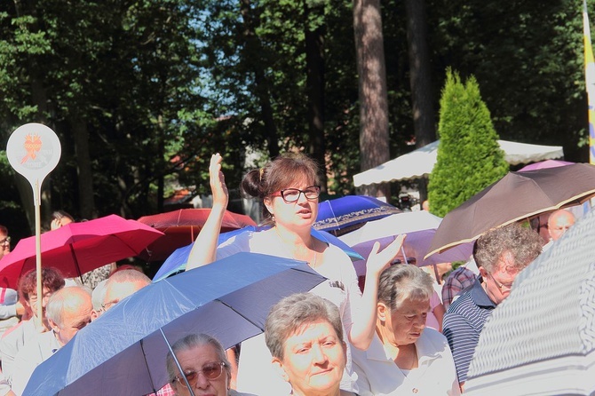 Diecezjalna Pielgrzymka Rodzin