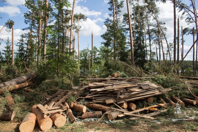 ZHR: Mieszkańcy wsi Lotyń pomogli nam pierwsi