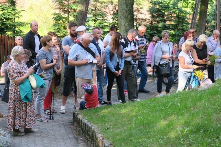 Pielgrzymka Trzeźwości 2017