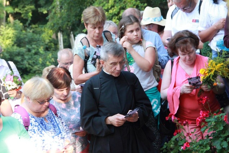 Pielgrzymka Trzeźwości 2017