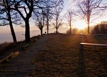 Miłosierni i niemiłosierni