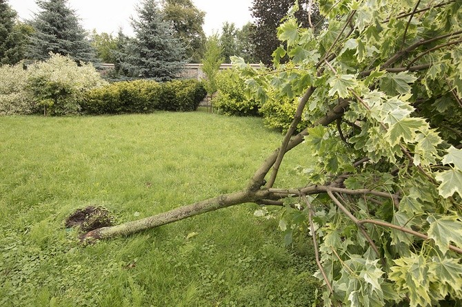 Zniszczenia w klasztorze gnieźnieńskich karmelitanek