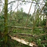 Zniszczenia w klasztorze gnieźnieńskich karmelitanek