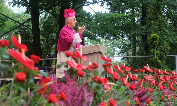 Idźcie i głoście!