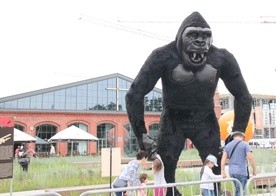 King Kong i polsko-amerykańskie dzieje