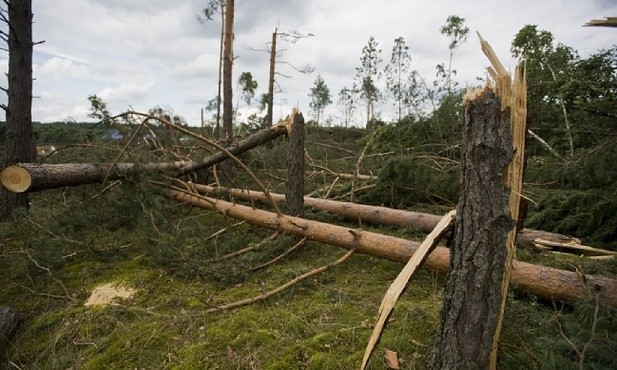 Caritas zebrała 1 mln złotych na pomoc ofiarom nawałnic