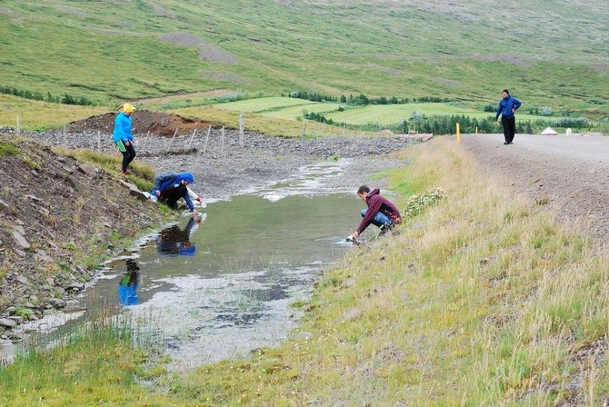 NINIWA Team na Islandii