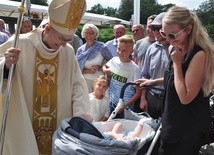 Kamień Śląski, 15 sierpnia. Pasterz z owcami i… owieczkami.