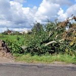 Pomoc w usuwaniu skutków wichury na Pomorzu