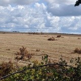 Pomoc w usuwaniu skutków wichury na Pomorzu