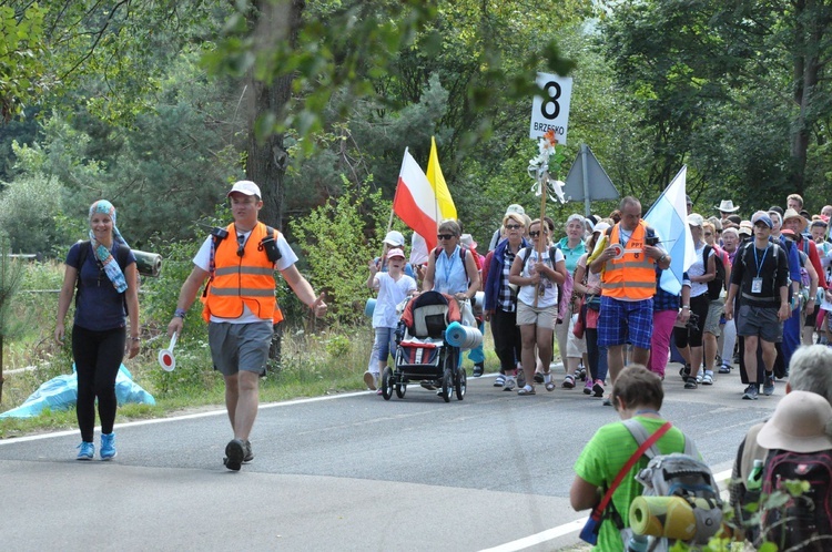 Grupa 8 - dzień ósmy