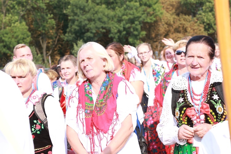 Grupa 19 - wejście