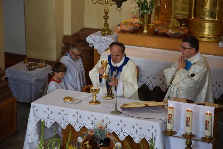 Święto chleba i miodu w Radziejowicach