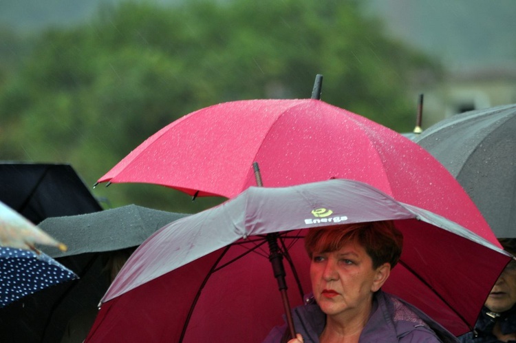 Pielgrzymka Trzeźwości w Polanowie