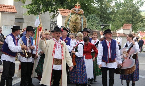 Pola, ugory i samosiejki