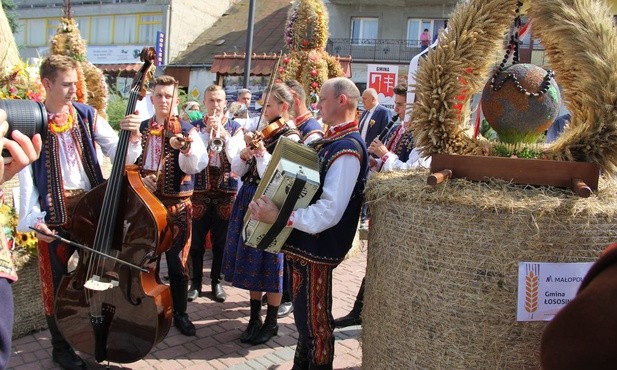 Pola, ugory i samosiejki