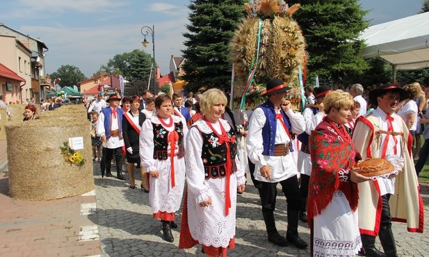 Pola, ugory i samosiejki