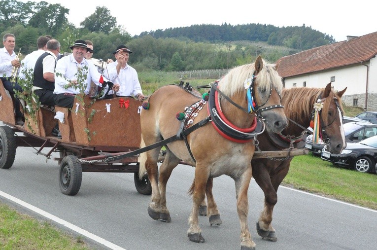 Czarny Potok ma 700 lat