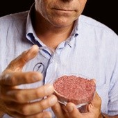 Mięso z laboratorium