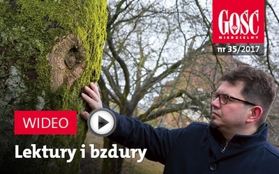 Zwiastun najnowszego „Gościa”