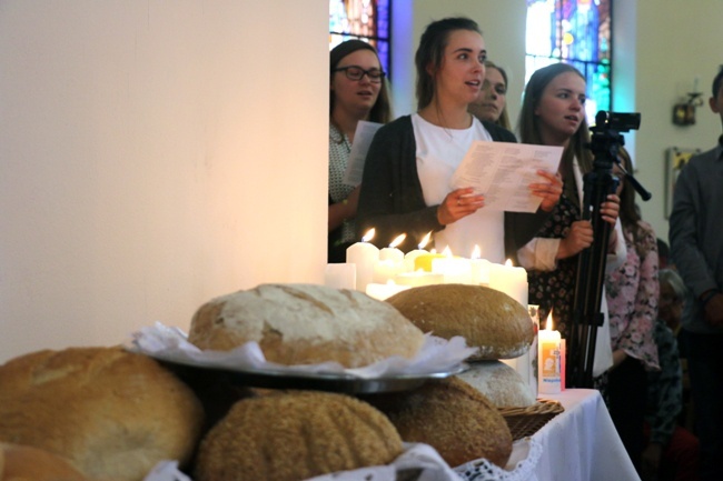 Pielgrzymka Ruchu Światło-Życie i Liturgicznej Służby Ołtarza