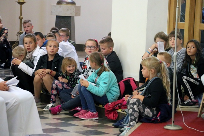 Pielgrzymka Ruchu Światło-Życie i Liturgicznej Służby Ołtarza