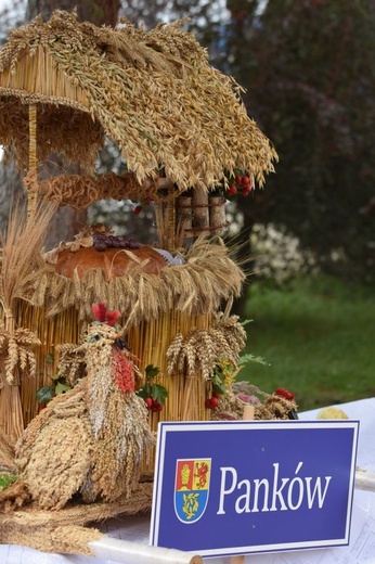 Dożynki diecezjalne w Lutomii Dolnej