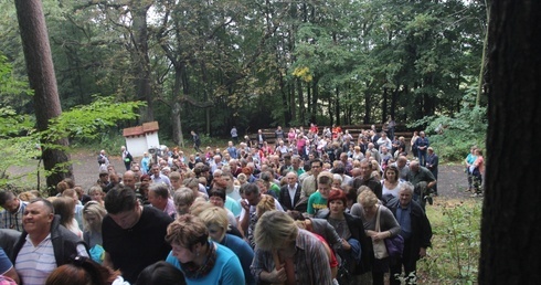 Górzec w niedzielę