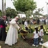 Papież sadzi drzewo