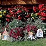 Jubileusz u Pań Szensztatu w Zabrzu