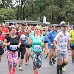 Wrocławski maraton