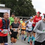 Wrocławski maraton