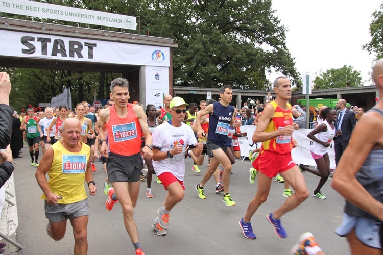 Wrocławski maraton